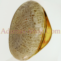 Diamond Gems Gemstones Natural Coral Fossil Ring Rings Jewelry Fashion Fine เครื่องประดับ หิน พลอย แหวน ปรการัง ฟอสซิล ธรรมชาติ แท้ ทอง จิวเวลรี่ หิน นำโชค ซื้อ ขาย ราคา